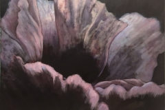 Pink-Poppy-24x30