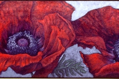 poppy-duet-for-sold